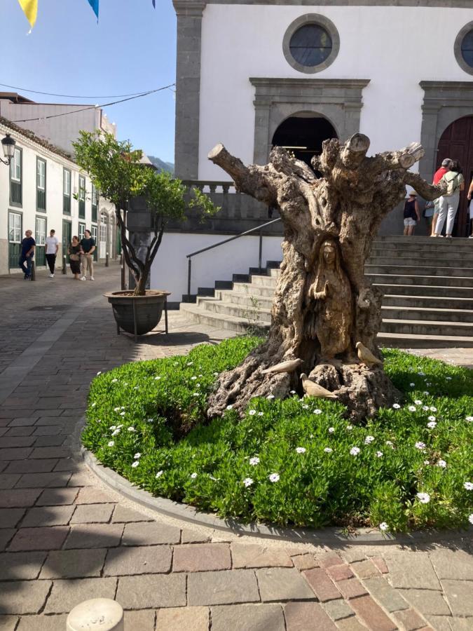 Viviendas Vacacionales San Mateo Вега де Сан Матео Экстерьер фото